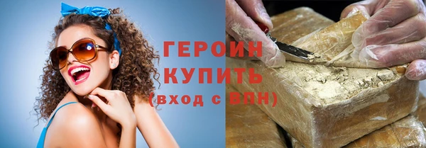 сатива Каменка