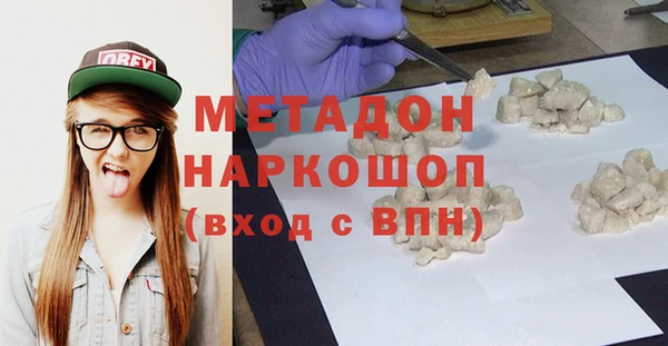 сатива Каменка