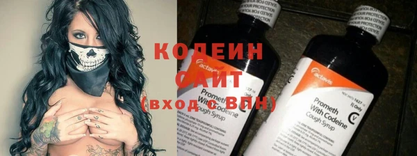 сатива Каменка