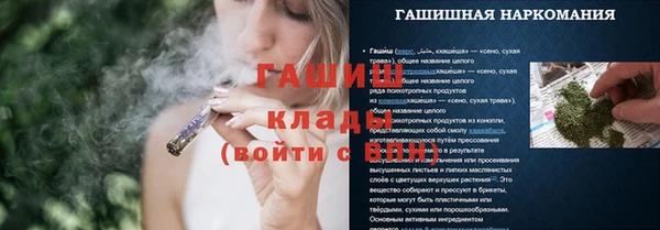сатива Каменка