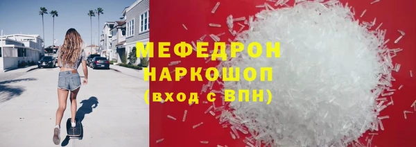 сатива Каменка