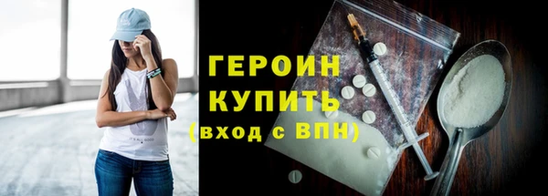 сатива Каменка