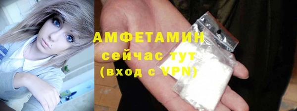 сатива Каменка