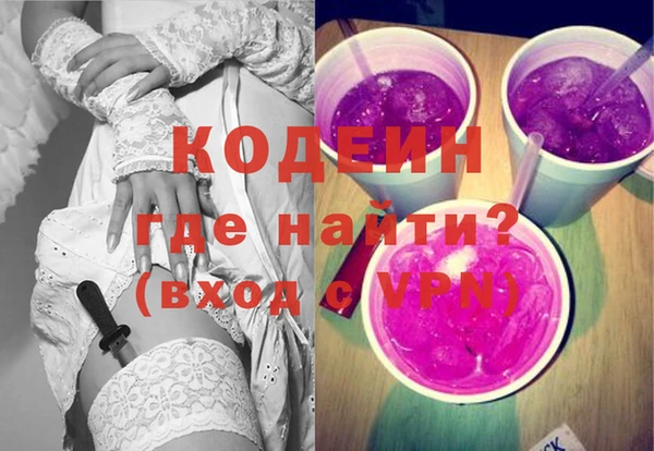 сатива Каменка