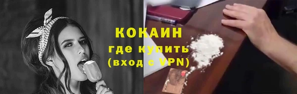 сатива Каменка