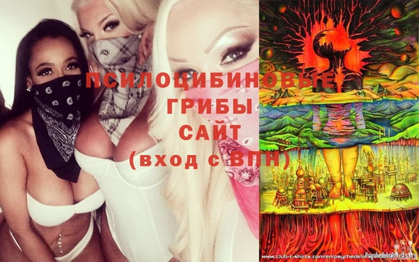 кокаин VHQ Каменногорск
