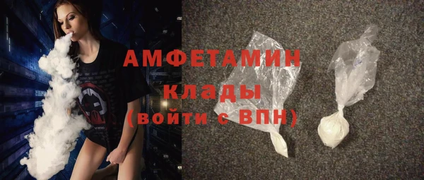 сатива Каменка