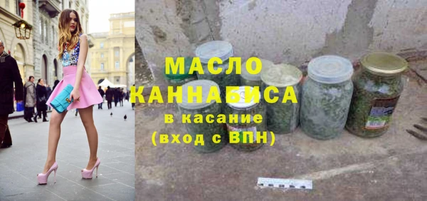 сатива Каменка