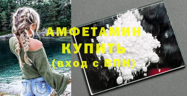 сатива Каменка