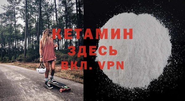 сатива Каменка