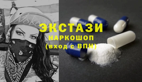 сатива Каменка