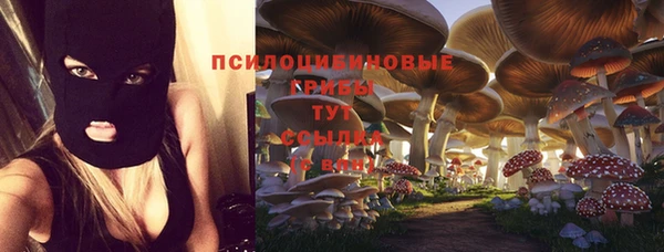 сатива Каменка