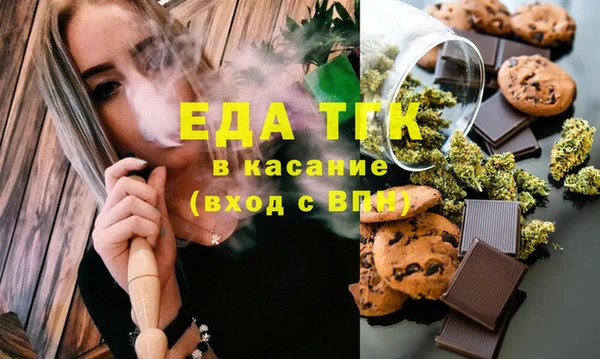 сатива Каменка