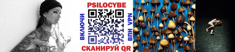 Купить закладки  Кириллов  Галлюциногенные грибы GOLDEN TEACHER 